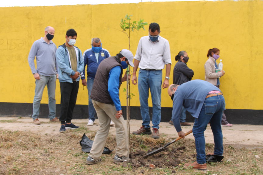 Resistencia La Comuna Plant Rboles En El Predio De La Universidad