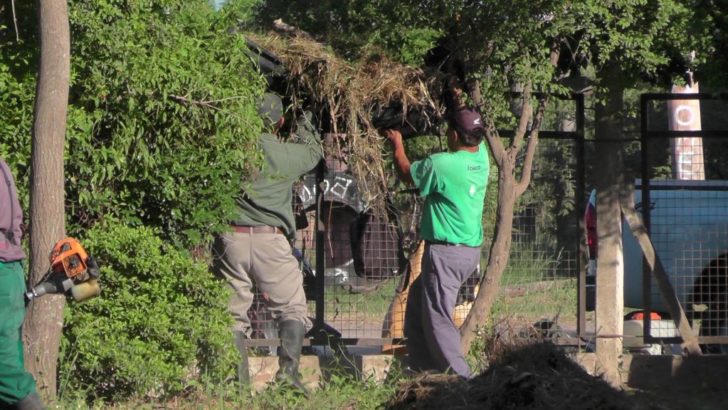 Concejo: Equipo Hábitat desmalezó la escuela N° 969 de Villa Encarnación