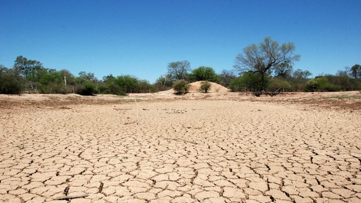 Emergencia agropecuaria: comenzó la recepción de declaraciones juradas de productores