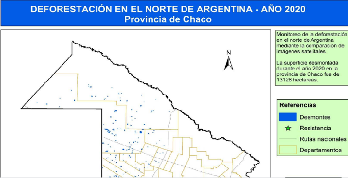Greenpeace afirma que en Chaco desmontaron casi 8.000 hectáreas de bosques a pesar de la prohibición de la Justicia