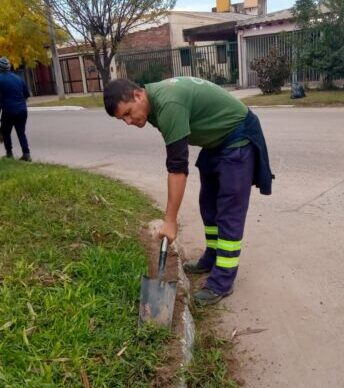 El municipio mantiene los servicios de limpieza urbana en toda la ciudad 1