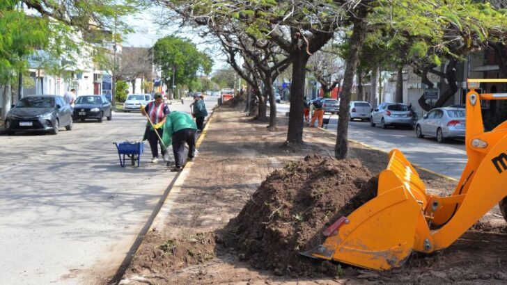 El Municipio ejecuta trabajos de saneamiento en los canteros centrales de avenidas