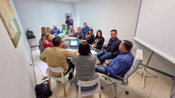 Consejo Permanente de Carrera Sanitaria: ATE Chaco participó de la tercera reunión